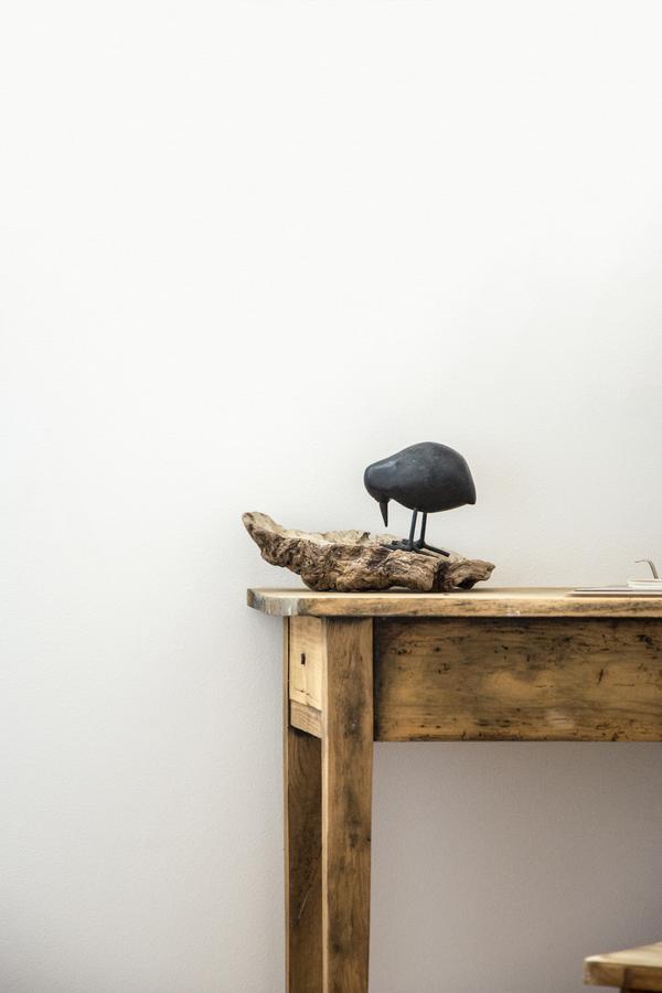 Le Roi Des Oiseaux - Gite A La Campagne Montcavrel Kültér fotó
